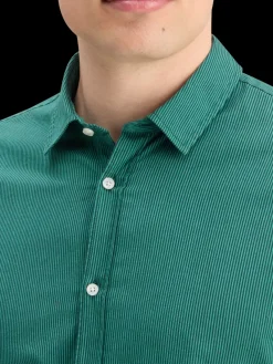 New POPLIN STRIPE Shirts